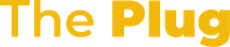 The Plug: Elevating Business Visibility & Maximizing Revenue Growth logo